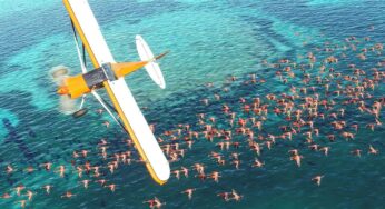 Inizia oggi la closed beta di Flight Simulator in VR, sfrutterà OpenXR