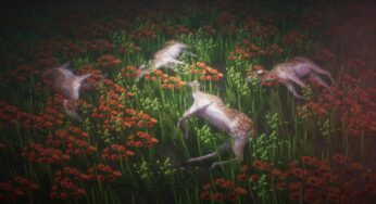 VENICE IMMERSIVE | All Unsaved Progress Will Be Lost: la recensione